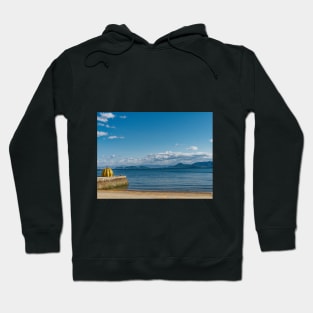 Pumpkin on the beach Hoodie